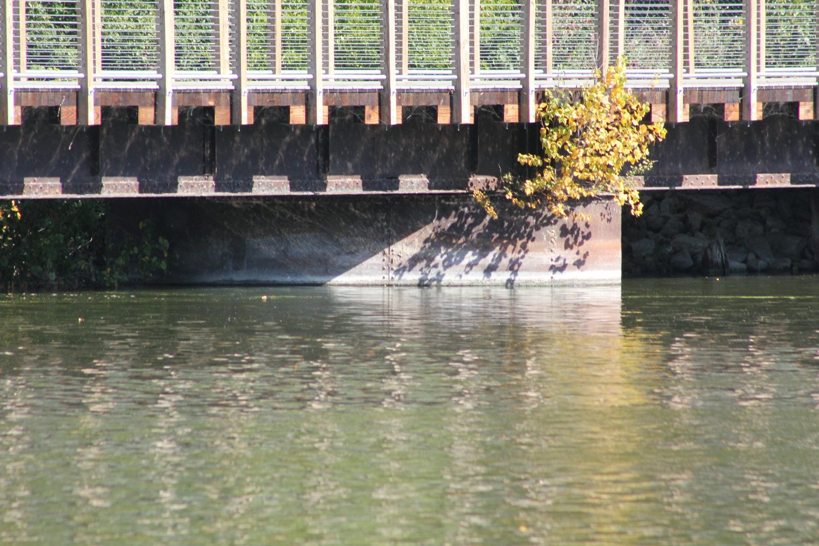 East pier (pier #13)